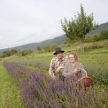 Marion et Florian dans les cultures Arcadia plantes aromatiques et médicinales tisanes condiments Bio Suisse Vaud