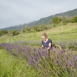 cueillette Arcadia plantes aromatiques et médicinales tisanes condiments Bio Suisse Vaud