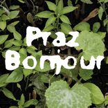 logo Praz Bonjour Arcadia plantes aromatiques et médicinales tisanes condiments Bio Suisse Vaud