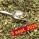 atelier herboriste 5 septembre Arcadia plantes aromatiques et médicinales herboristerie tisanes condiments Bio Suisse Vaud