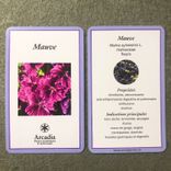 Arcadia cartes de plantes mauve tisanes et condiments Bio Suisse Vaud