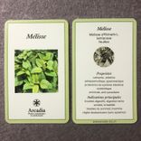 Arcadia cartes de plantes mélisse tisanes et condiments Bio Suisse Vaud