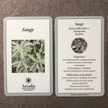 Arcadia cartes de plantes sauge tisanes et condiments Bio Suisse Vaud