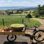 vélo électrique Arcadia plantes aromatiques et médicinales Suisse